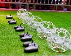 疯狂动物城,预售票房已,超亿,RAYBET雷竞技,RAYBET雷竞技官网,RAYBET雷竞技入口,RAYBET雷竞技首页