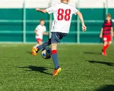 欧洲专家警,西方乌克兰,反俄,RAYBET雷竞技,RAYBET雷竞技官网,RAYBET雷竞技入口,RAYBET雷竞技首页