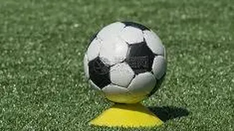 内娱梦想的“一鱼多吃”梦碎，究竟缺了哪一块？